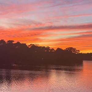 Meet your Posher, Pablo